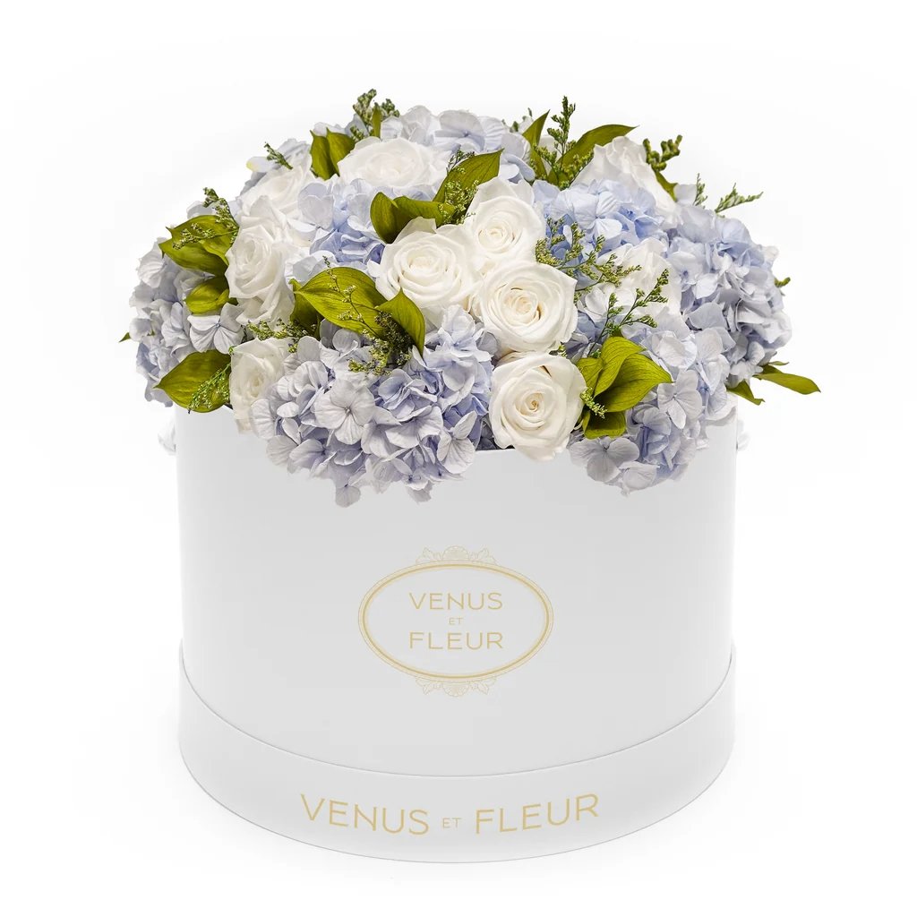 Venus et fleur flower pot, with purple and white flowers
