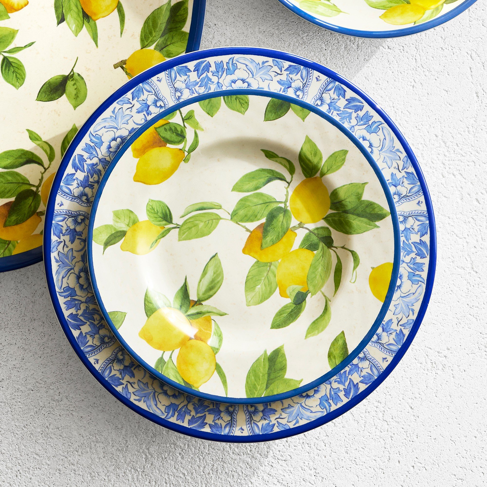 lemon outdoor dinner plate set